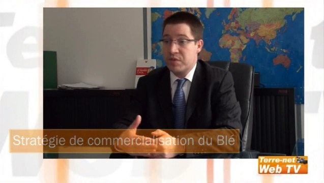 Blé, maïs, colza : quelle stratégie de commercialisation 2010 adopter ?