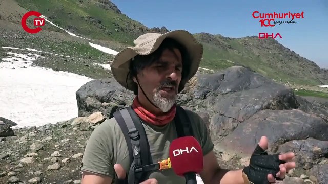 Cilo-Sat Dağları'ndaki hayvan figürlü kaya resimleri, tez konusu oldu