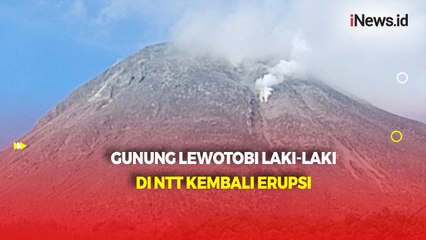 Gunung Lewotobi Laki-Laki Erupsi Disertai Hujan Pasir, Muntahkan Abu Setinggi 1.000 Meter