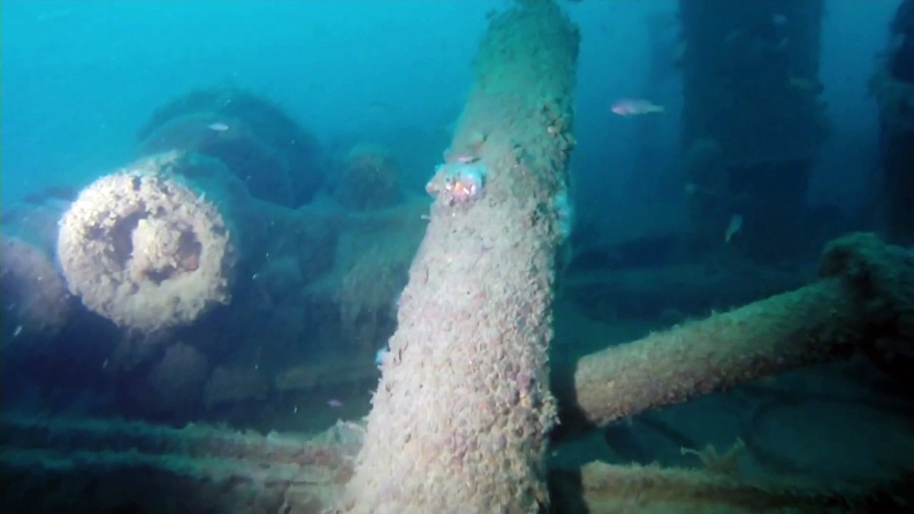 WWII shipwrecks in Australian waters pose environmental threat, experts warn