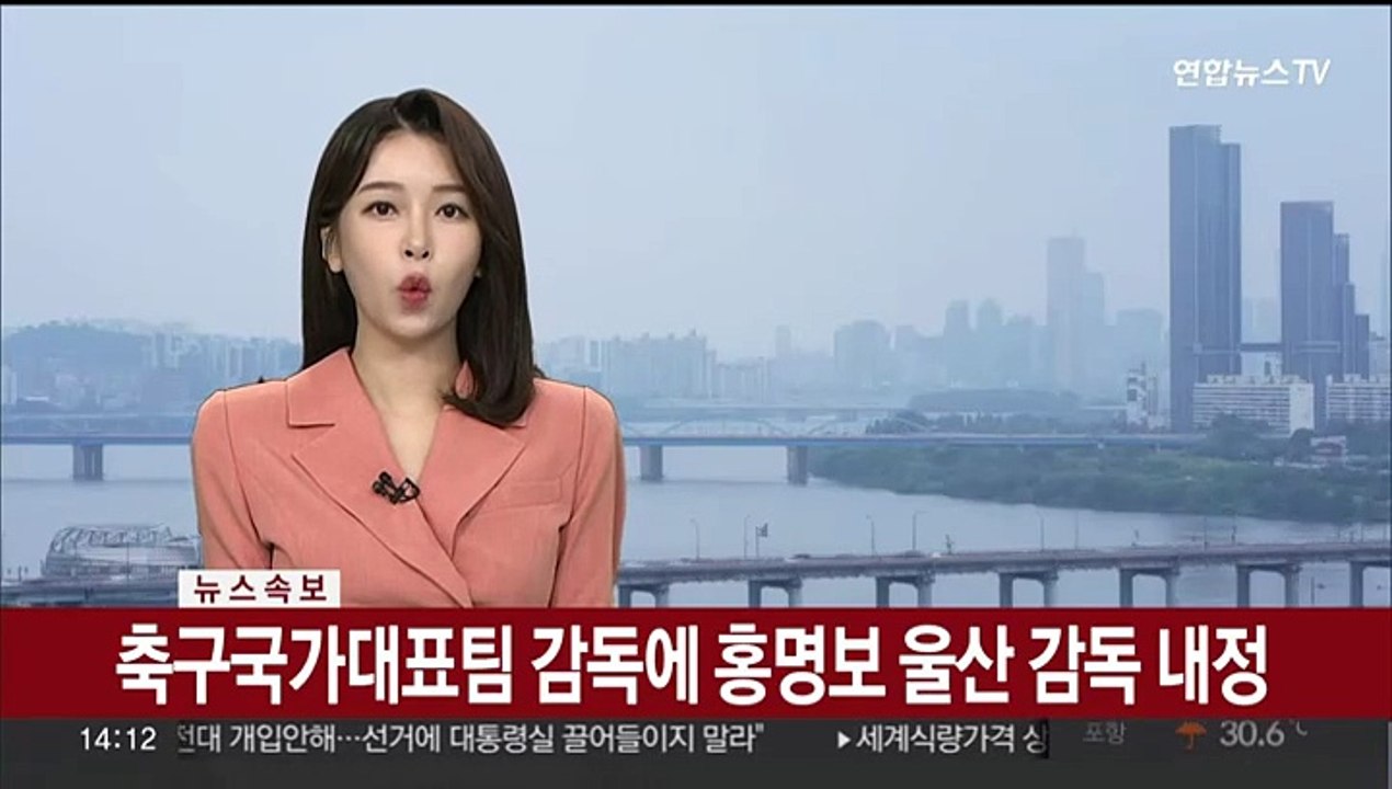 [속보] 축구국가대표팀 감독에 홍명보 울산 감독 내정