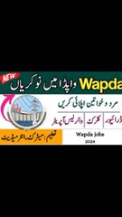 WAPDA Jobs 2024