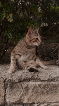 #animal #animals #nature #pet #cute #wildlife #love #dog #pets #photography #cat #cats #naturephotography #instagram #photooftheday #dogs #animallovers #instagood