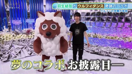 FaOI in Aichi SP - YUZU cuts