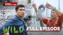 Treatment and examination of animals in need (Full Episode) | Born to be Wild