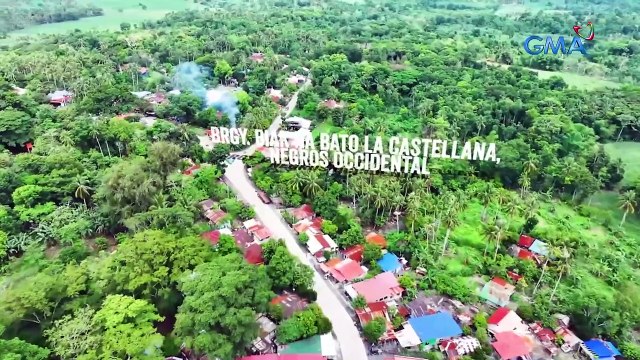 Mga hayop na naapektuhan ng pagsabog ng Bulkang Kanlaon, tinulungan! | Born to be Wild