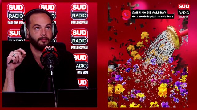 Comment bien arroser ses plantes ? - Tous au jardin