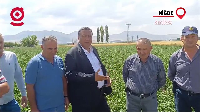 Ömer Fethi Gürer’in dinlediği patates üreticisi Aziz Esenlik: Bu sene ihracat olmazsa patates komple dökülür, üretici tarladan çekilir