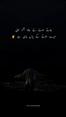 Attitude lines#viral #trend #attitudevideo