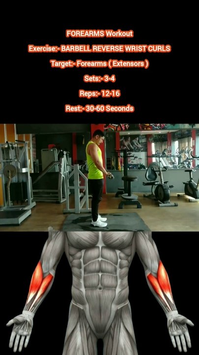 ❌ BARBELL REVERSE WRIST CURLS ✔️  How can I get Bigger FOREARMS?  #heermlgangaputra #naturalbodybuilding #workout #exercise #fitness #gym #muscle #training