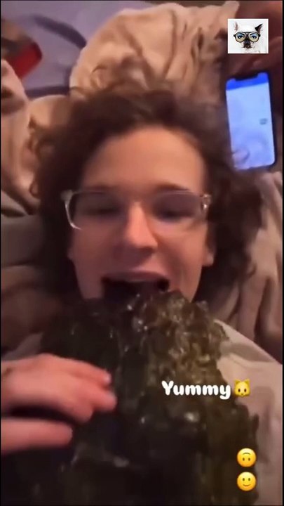 fun animals - cats and dogs funny videos  Веселые животные - смешные видео о кошках и собаках