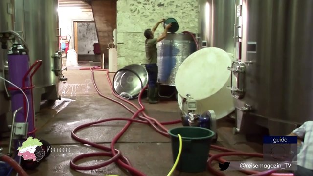 Tips-4-Trips - #Tuyau37 Château Court-les-Muts. Récolte de vin en Périgord-Pourpre.