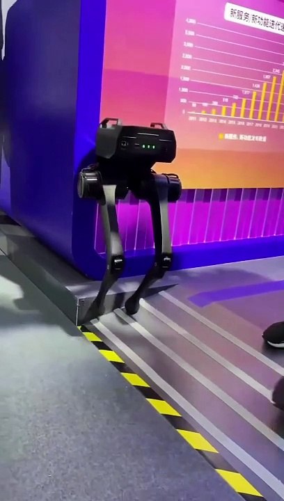this robot getting bullied by stranger,, please share this