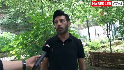 Beykoz Belediyesi başıboş köpeklere müdahale etmiyor