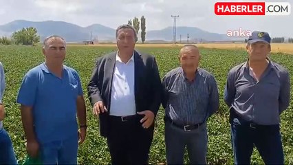 Patates Üreticileri Maliyetlerin Artması Nedeniyle Endişeli