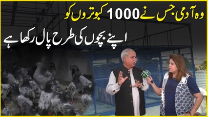 Woh admi jisnay 1000 kabootro ko apnay bacho ki tarah paal Rakha hai