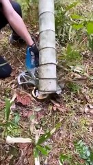 Qiamut ki aik or nishaani puri houny ja Rahi hai