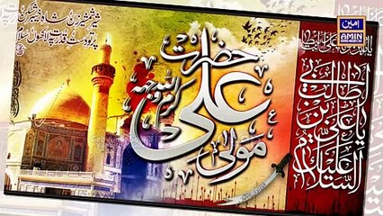 Mola Ali Ki Shan 2024 | Heart Touching New Rubaiyat | Ahmed Ali Nasir | Amin Production Tv