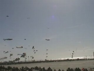 Cerf-volant Berck 2008 Richard Debray