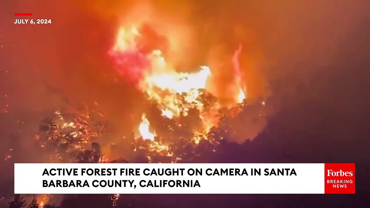 BREAKING_NEWS__Active_Forest_Fire_Caught_On_Camera_In_Santa_Barbara_County,_California(720p)