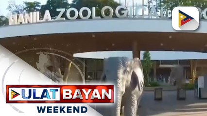 Manila Zoo, inirekomendang ilipat sa Masungi Georeserve sa Baras, Rizal