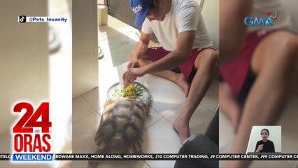 Alagang tortoise na minamadali ang amo sa kanyang pagkain, kinaaliwan | 24 Oras Weekend