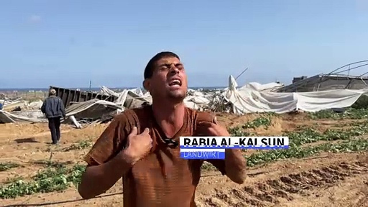 'Hier sind doch nur Felder' - Israel attackiert Landwirtschaft in Gaza