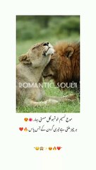 Tu_mUhbBat_Haii____.__________.__._._._________._._____.______#goviral_#50k_#1m_#1b_#fyp_#foryou_#foryoupage_#mein_channd_siii_#songs__#111_♡_1080_