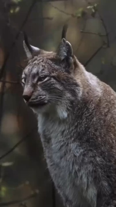 Nunca te esqueças de quem está e esteve ao teu lado #Alibas .    ✊  #obrigado #merci #ungrandebemhaja