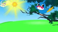 Bulbul Ka Bacha Urdu Poem _ بلبل کا بچہ _ Urdu Nursery Rhyme Collection for Babies