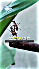 WRONG_PEOPLE_WhatsApp_Status_#shorts_Billionaire_Attitude_Status#motivation_#quotes(720p)