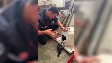 Başı küvetin giderine sıkışan kedi kurtarıldı