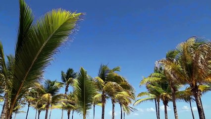 Best Time to Visit the Maldives?