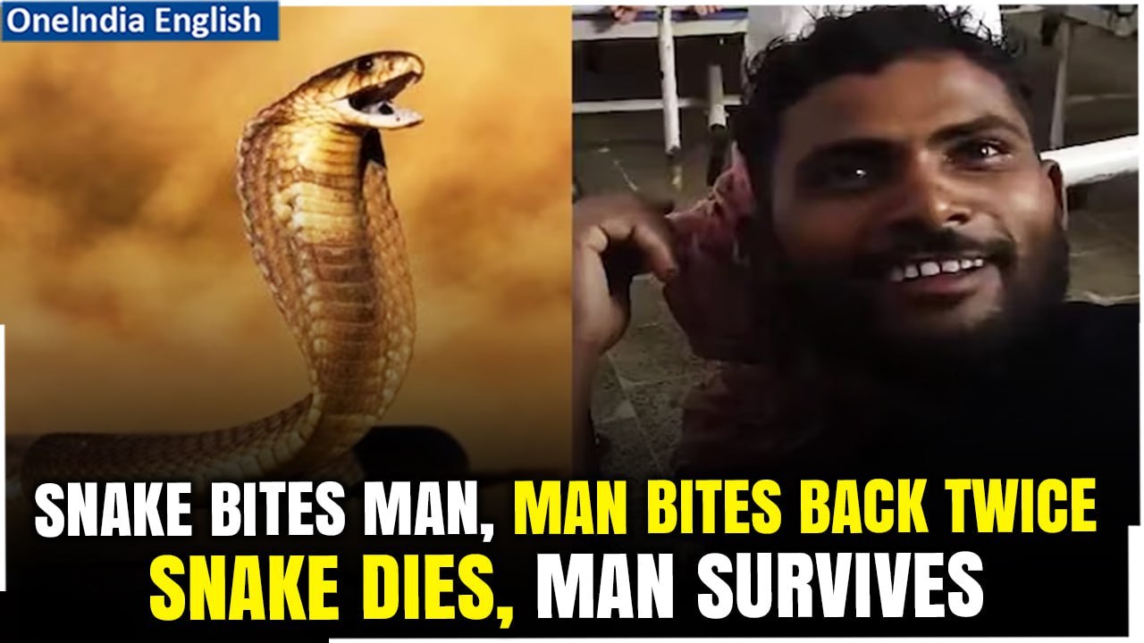 Man Bites Snake: Unique Incident in Bihar, Indi...