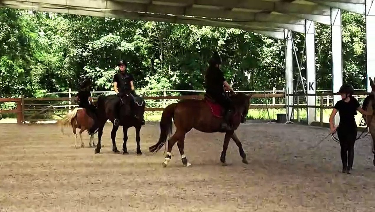 Brumath Centre Equestre Les Papillons Portes Ouvertes 2024