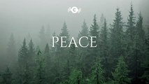 PEACE - Soaking worship instrumental  Prayer and Devotional