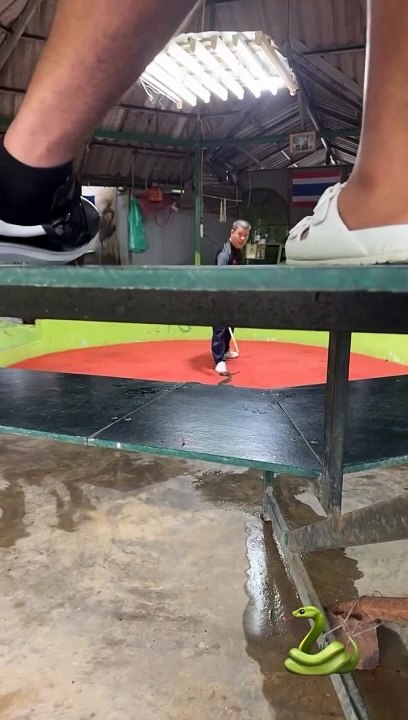 Snake prank