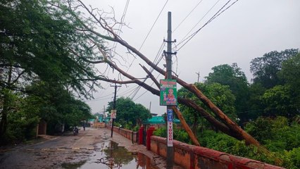 तूफानी हवाओं के साथ बारिश में गड़बड़ाया विद्युत तंत्र, दर्जनों पोल-ट्रांसफार्मर गिरने से अंधेरे में रहा शहर