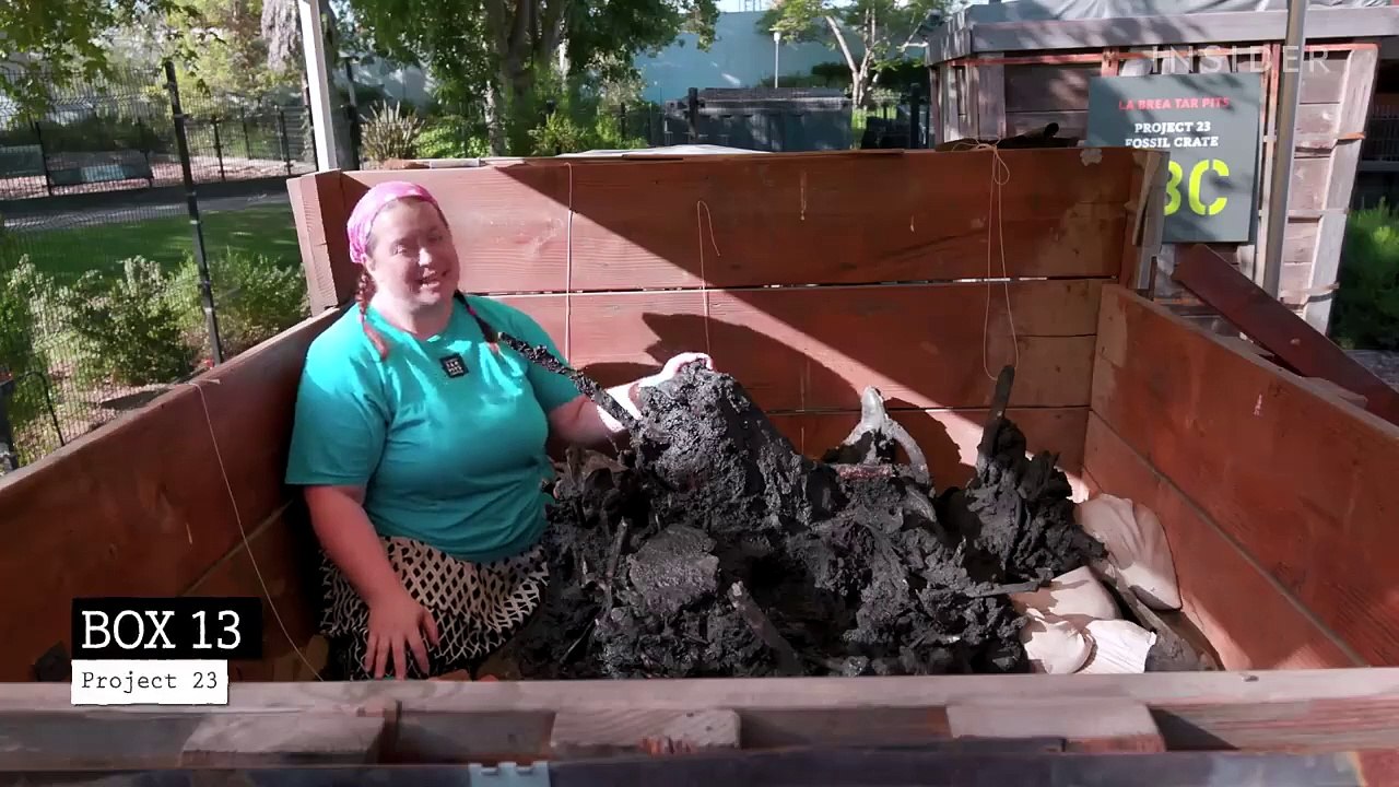 How_4_Million_Fossils_Are_Extracted_From_Tar_At_La_Brea_Tar_Pits___Colossal_Collections__Cool Science Hub