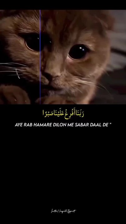 Sabr