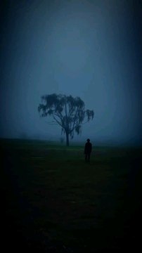 Des phénomènes étranges dont tu n'as jamais entendu parler (66) ‍♂️