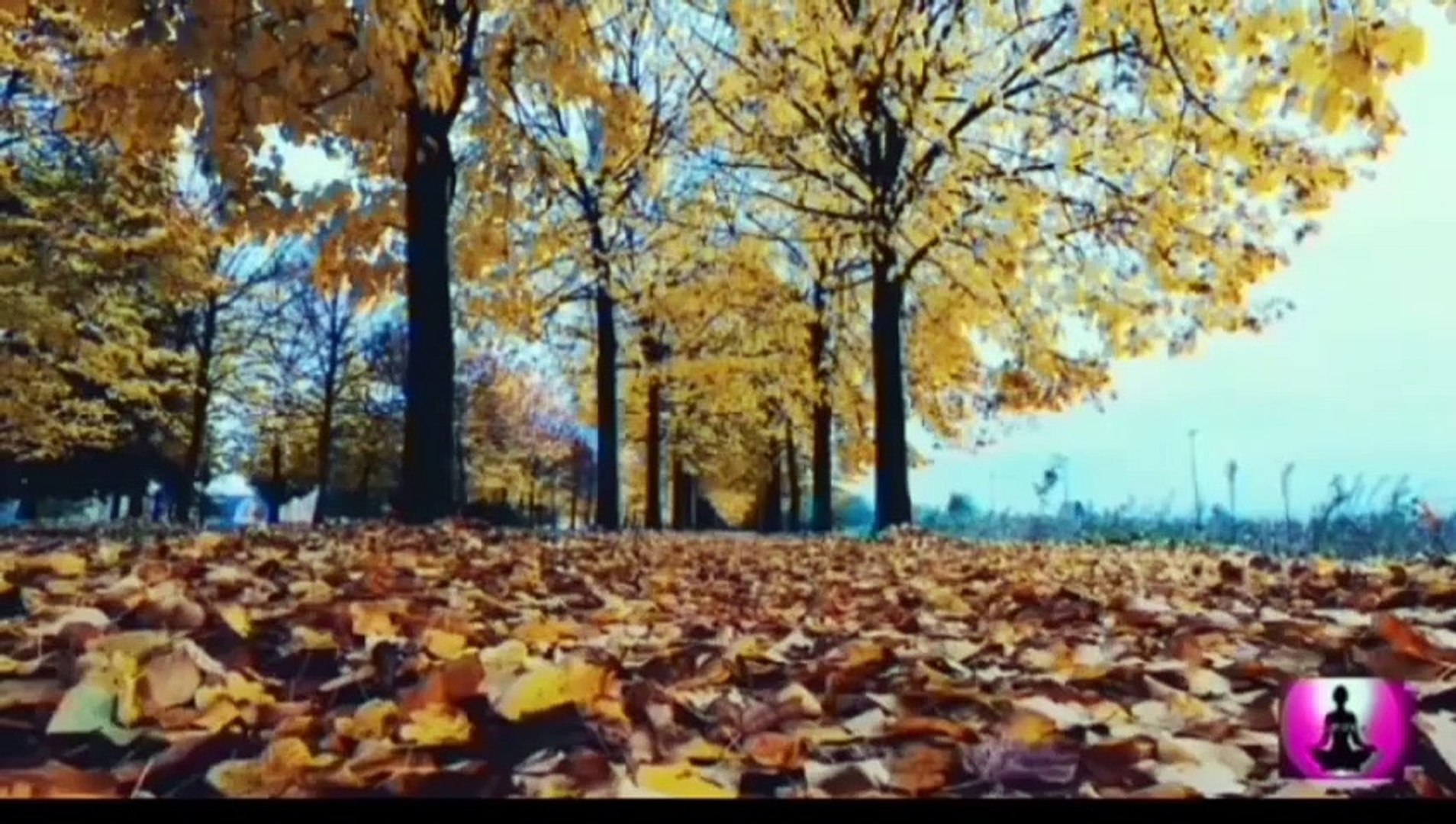Quick Relaxing Music Meditation ! Soothing Music ! Sleeping Music ! Piano Music ! @yellowbrickcinema