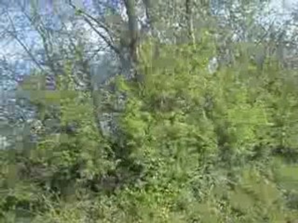 SDC11276
