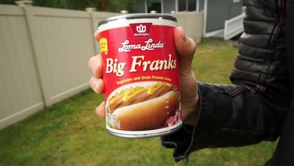 How To Catch Pokemon (like Onision)