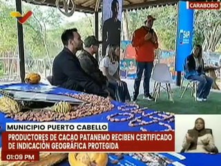 Carabobo | Cacao de Patanemo recibe certificado de Indicación Geográfica Protegida