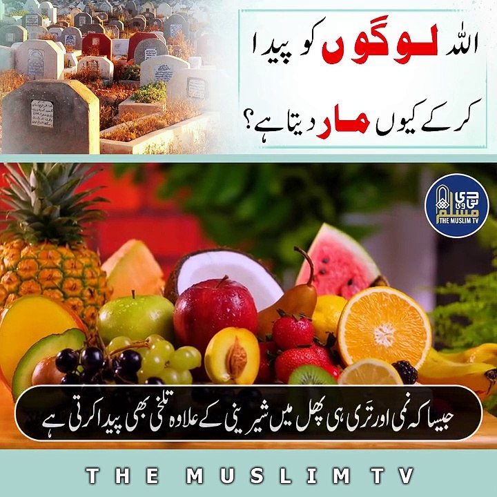 Moosa Alaissalaam Ki Allah Say Mulaqat