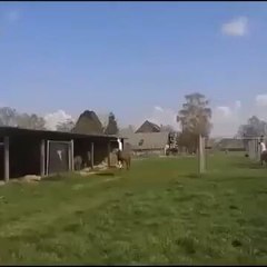 Here's my latest video