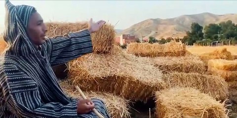 الشاب ابرهيم منشود في اغنيته الجديدة  بعنوان  يا كما  cheb brahim manchod  yakma 2024