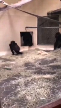 Ce site te permet de trouver les meilleurs bon plans voyage ou vacances. Si tu ne connaissais pas, enregistre le site #astuce #astuces #bonplan #voyage #vacances #voyages #location