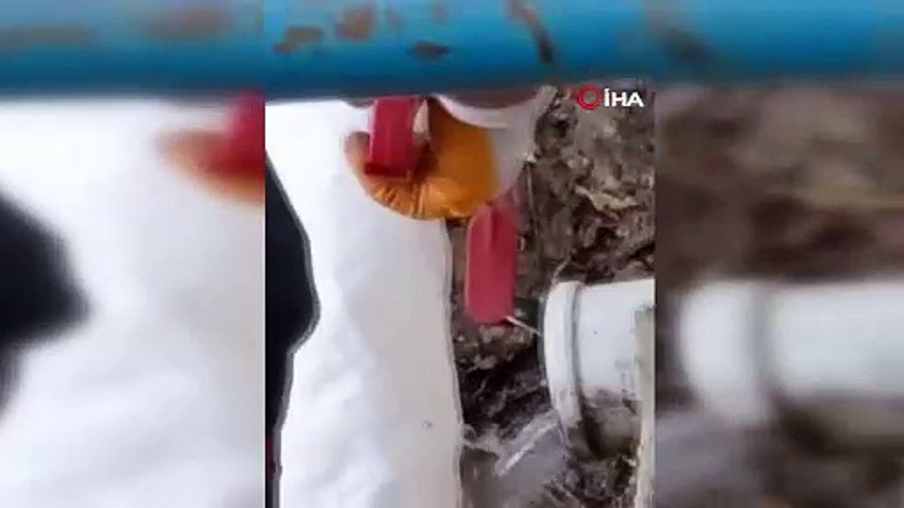 Tam 1,5 metre uzunluğunda! O ilimizde yılan paniği